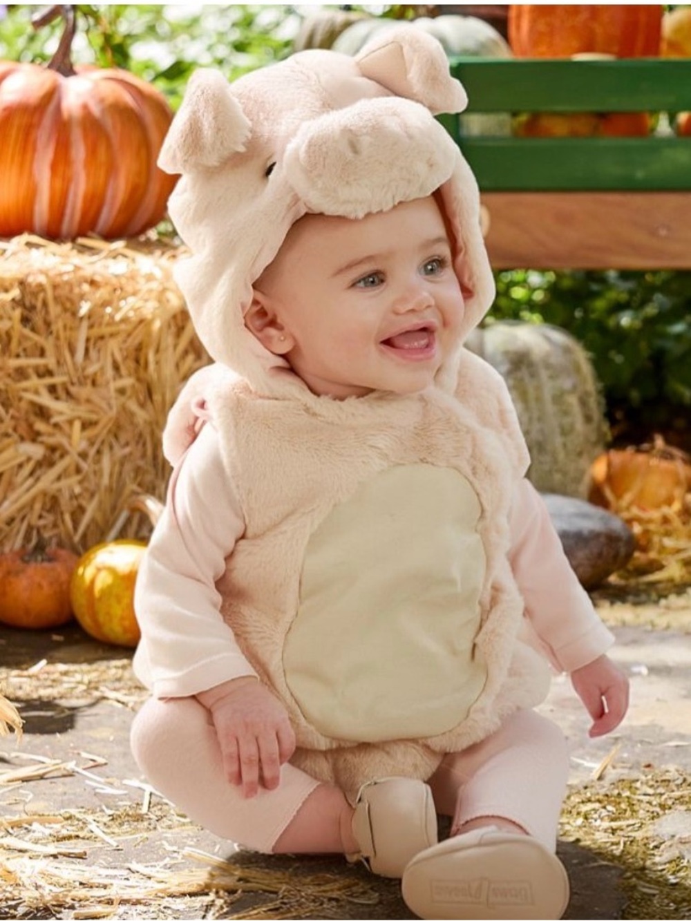 Pottery Barn Kids 12-24 Month Blush Pink Piglet Costume